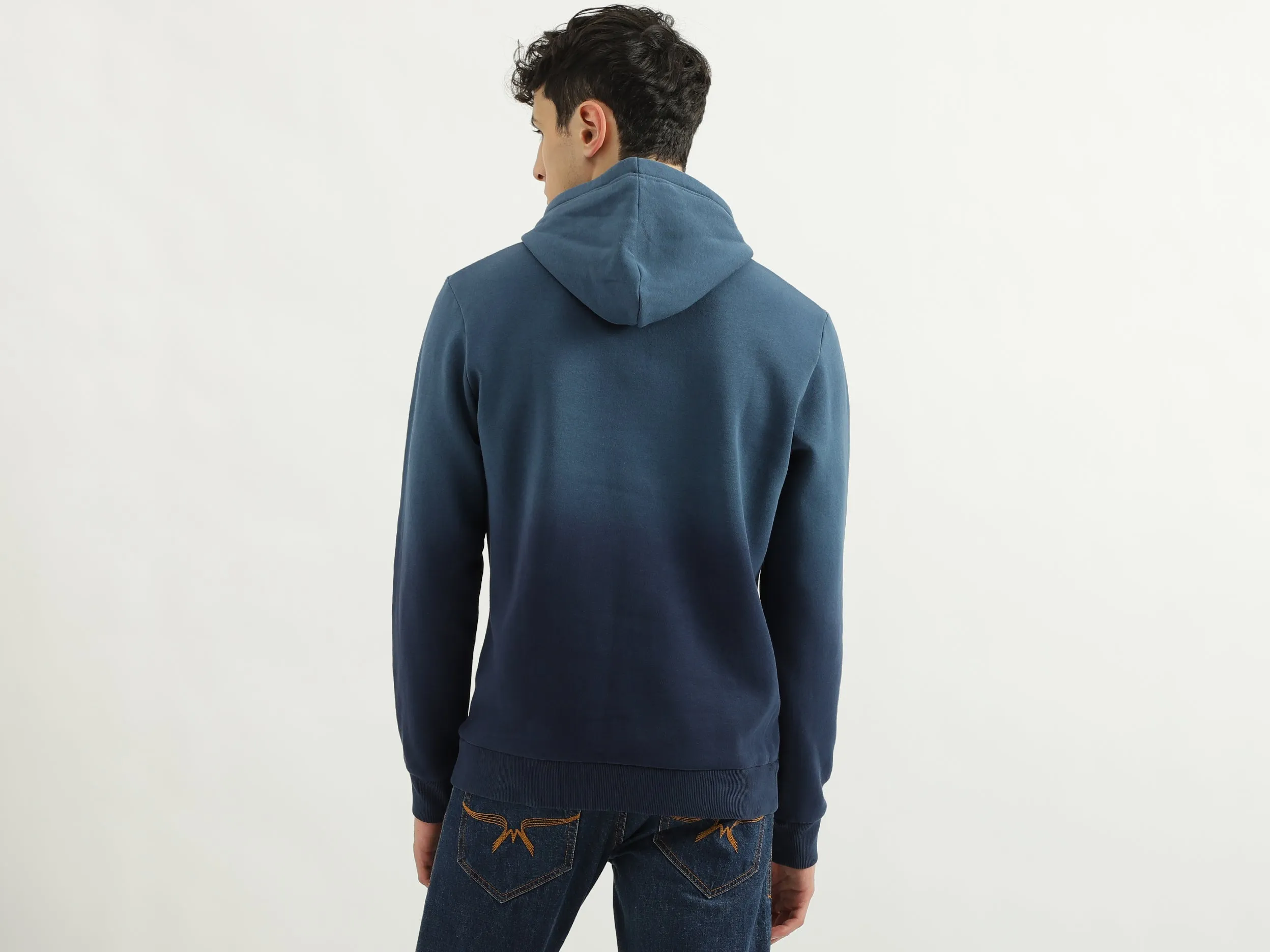 Regular Fit Hooded Neck Ombre Hoodie